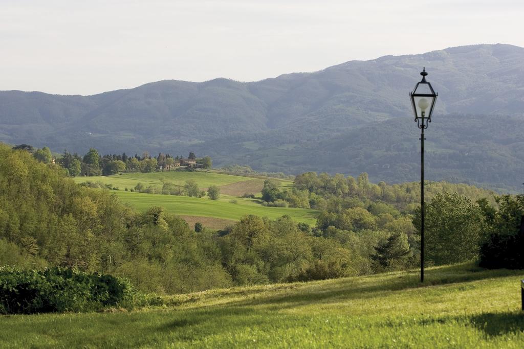 Tenuta Il Cerro Vicchio Oda fotoğraf